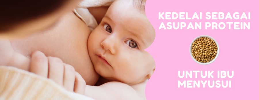 Kedelai Untuk Ibu Menyusui