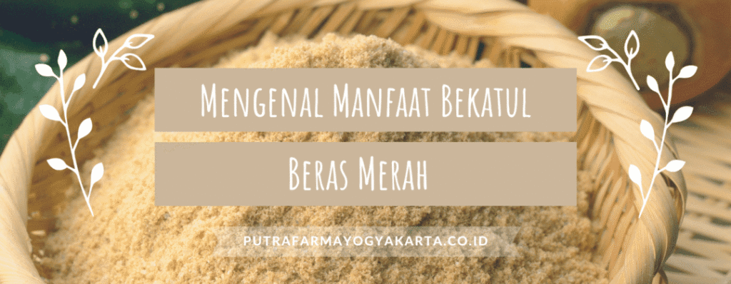 Bekatul Beras Merah Mengenal Manfaat Bekatul Beras Merah