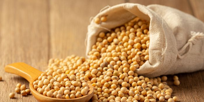 mengenal-diet-dengan-isolat-protein-soya-2