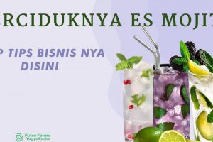 5 Cara Mudah Bisnis Es Mojito Tahun 2023 Hingga Untung