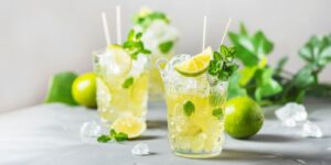 bisnis-es-mojito