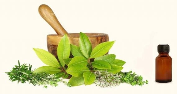 usaha minuman herbal