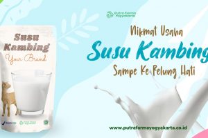 Modalnya Nggak Bikin Pusing, Ya Usaha Susu Kambing