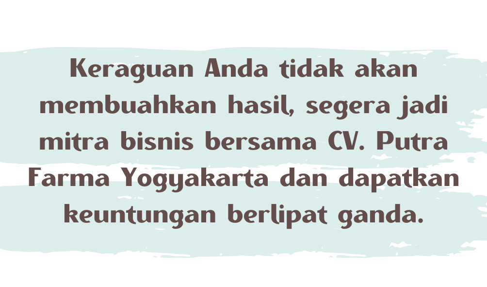 bisnis kopi buah