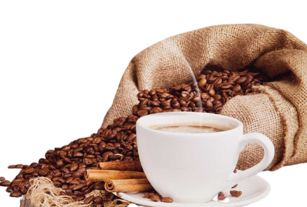 bisnis kopi buah
