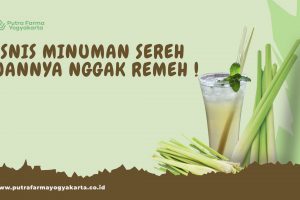 Membidik Kesempatan Emas Melalui Bisnis Minuman Sereh