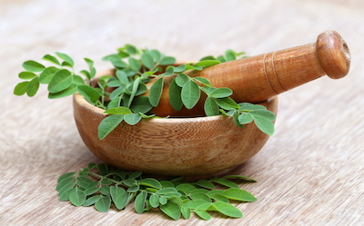 khasiat teh daun kelor