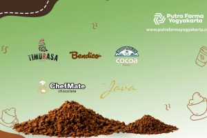 Top 6 Bubuk Coklat Lokal Terbaik, Rasanya Dijamin Autentik