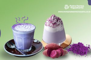 Bete Melanda? Musnahkan Dengan Korean Goguma Latte Aja!