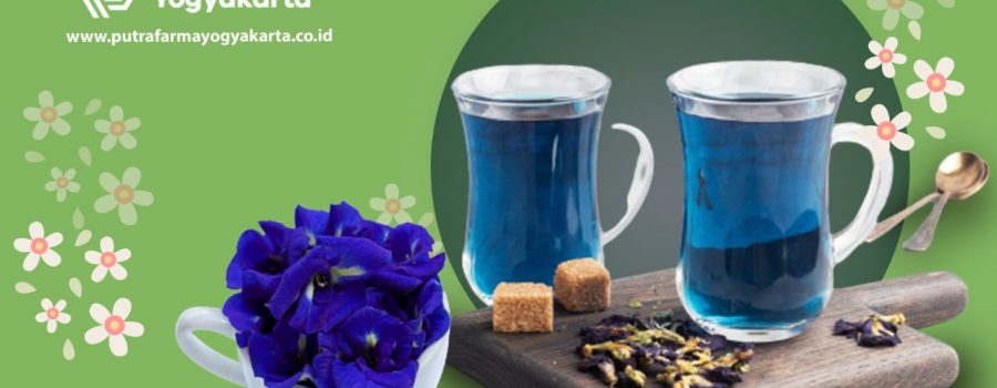 Teh Bunga Telang, Si Biru Ajaib ­­Banyak Faedah