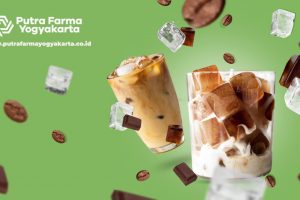 Coffee Ice Cube, Sensasi Beda Nikmatin Segelas Kopi