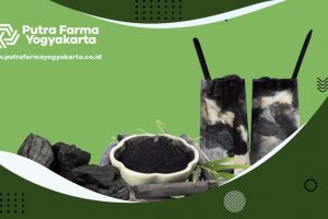 Rasakan Berlimpahnya Manfaat Mengonsumsi Charcoal