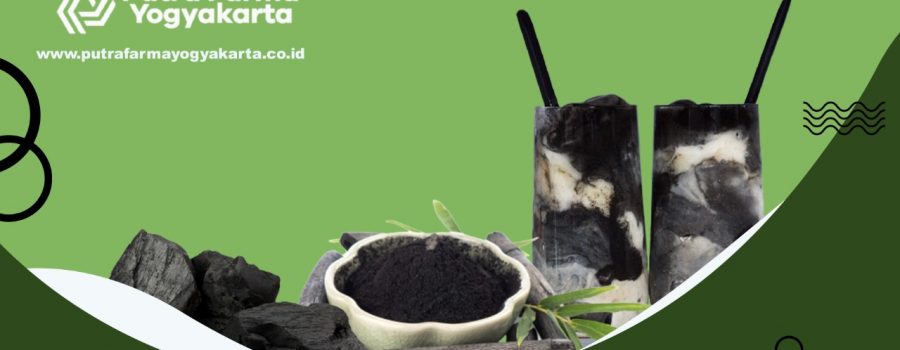 Rasakan Berlimpahnya Manfaat Mengonsumsi Charcoal