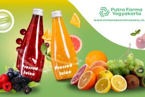 Cold-pressed Juice, Minuman Sehat Kaya Serat