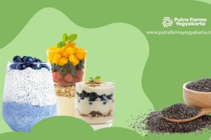 Chia Seed, Superfood Andalan Untuk 12 Masalah Kesehatan