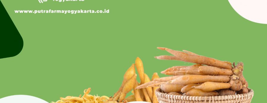Lawan 10 Macam Penyakit Dengan Temu Kunci