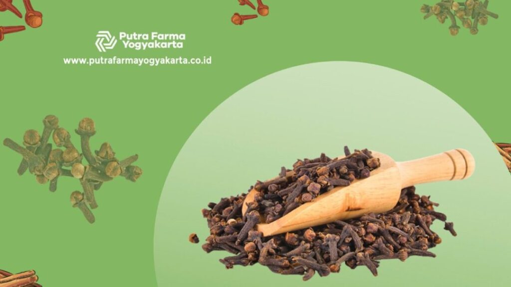 cengkeh Rasakan 9 Manfaat Si Wangi Cengkeh yang Amazing!