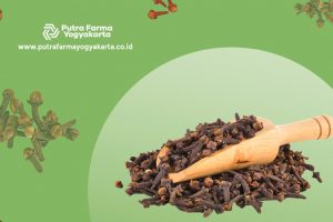 Rasakan 9 Manfaat Si Wangi Cengkeh yang Amazing!