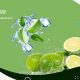 Dapatkan 10 Nutrisi Baik Dari Jeruk Nipis