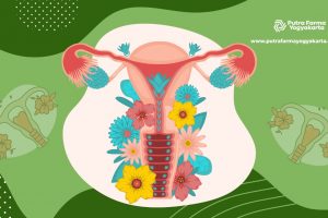 Uniknya 12 Fakta Vagina yang Belum Banyak Orang Tahu