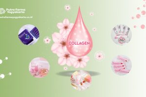 Top 5 Brand Collagen Drink HALAL dan BPOM