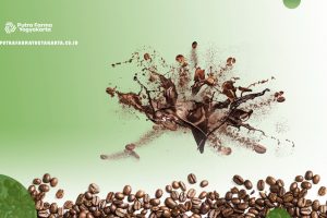Telusuri Bersama 10 Fakta Tentang Kopi (Part 1)