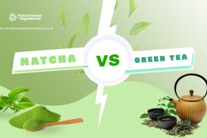 7 Perbedaan Matcha Dan Green Tea, Mana Favorit Anda?