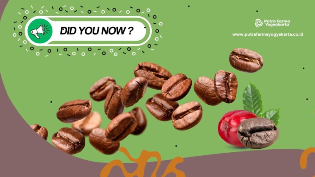 fakta kopi 10 Fakta Kopi Dengan Segudang Filosofi (Part 2)