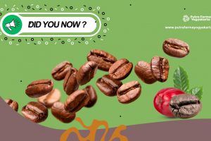 10 Fakta Kopi Dengan Segudang Filosofi (Part 2)