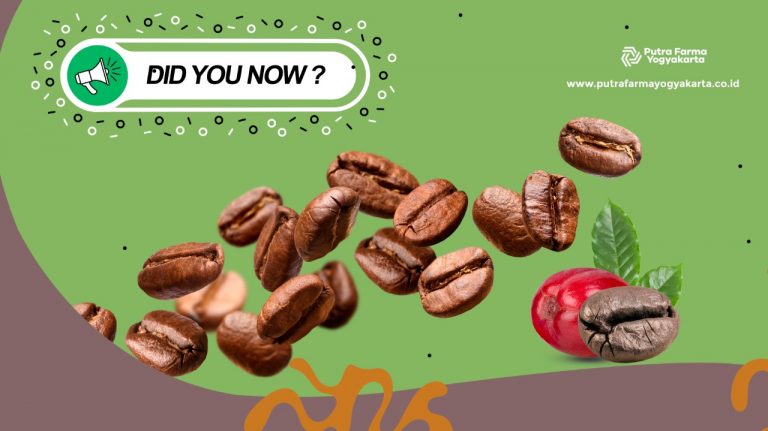 fakta kopi