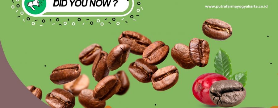 10 Fakta Kopi Dengan Segudang Filosofi (Part 2)