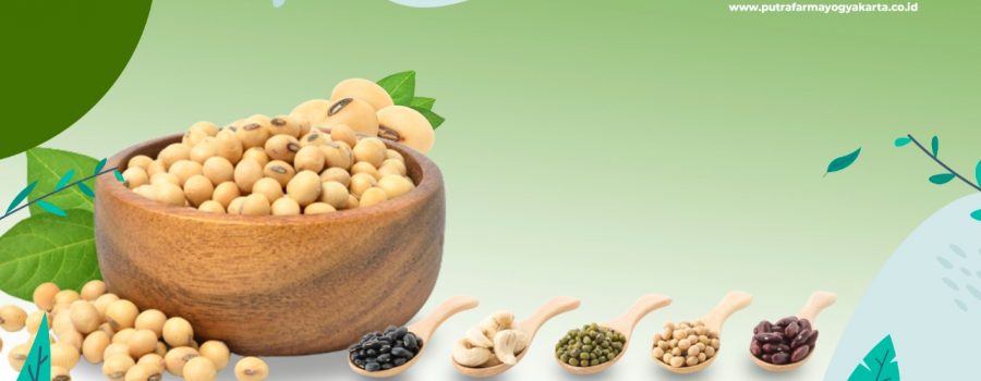 9 Manfaat Kacang Kedelai yang Bikin Takjub