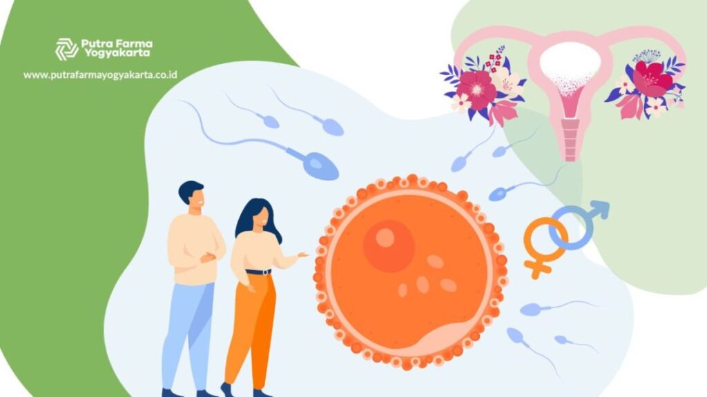 cek kesuburan wanita 9 Bentuk Cek Kesuburan Wanita yang Bisa Anda Pilih