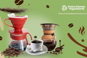 9 Teknik Seduh Kopi Kekinian Dengan Cita Rasa Dambaan
