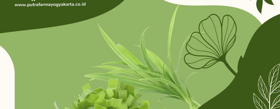 12 Rahasia Sehat Dengan Konsumsi Daun Pandan
