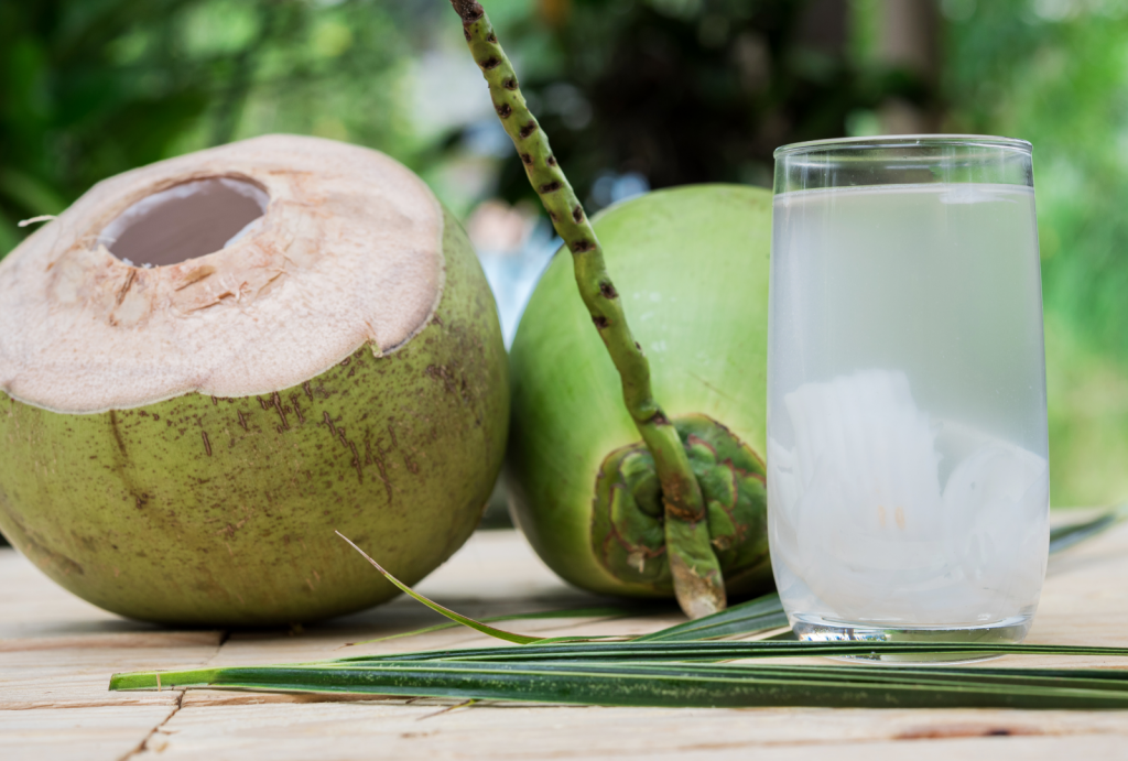 bahan makanan pelancar ASI
