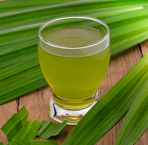 daun pandan