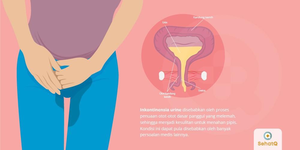 senam kegel sederhana