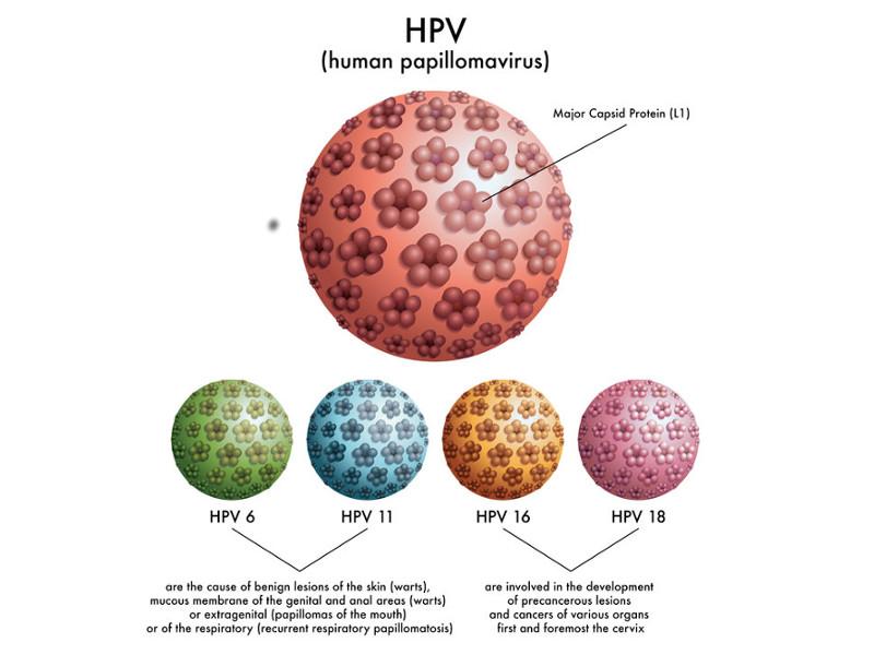 vaksin HPV