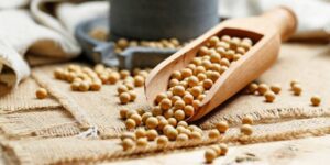 manfaat-kacang-kedelai