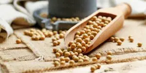 manfaat-kacang-kedelai