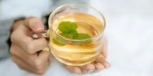 teh-pelangsing