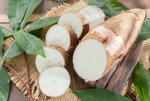 diet kalori diet kalori