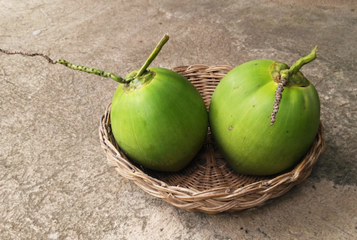 khasiat air kelapa untuk bumil khasiat air kelapa untuk bumil