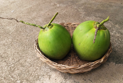khasiat air kelapa untuk bumil