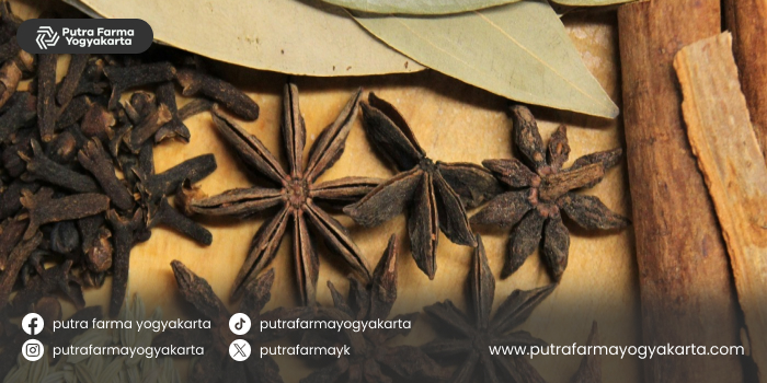 brand-minuman-rempah-indonesia