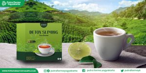 jenis-teh-hijau
