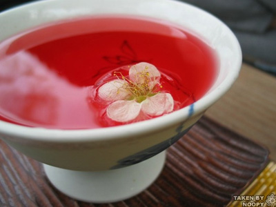 minuman korea