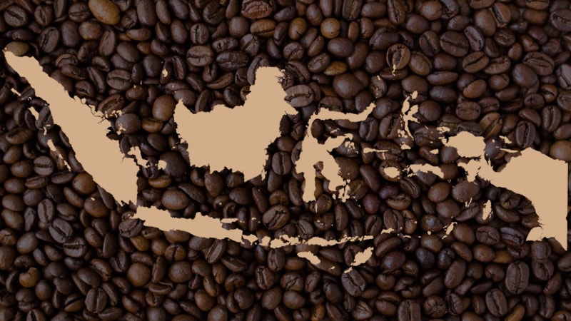 fakta kopi dengan Indonesia