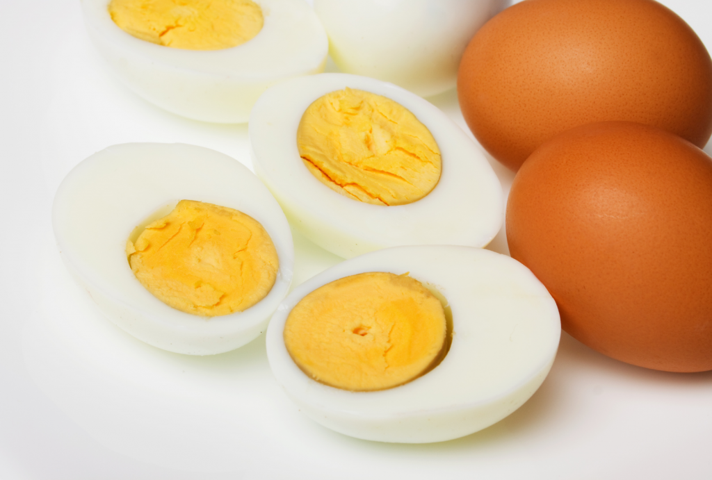 makanan berprotein tinggi